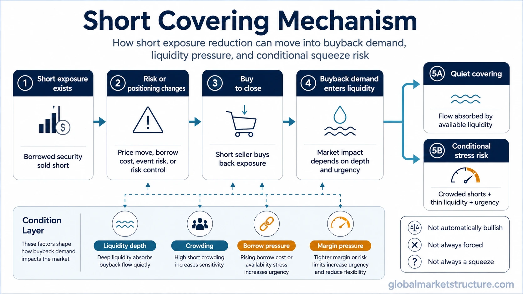 Short covering mechanism showing buyback demand, liquidity absorption, crowding pressure, margin stress, and conditional squeeze risk