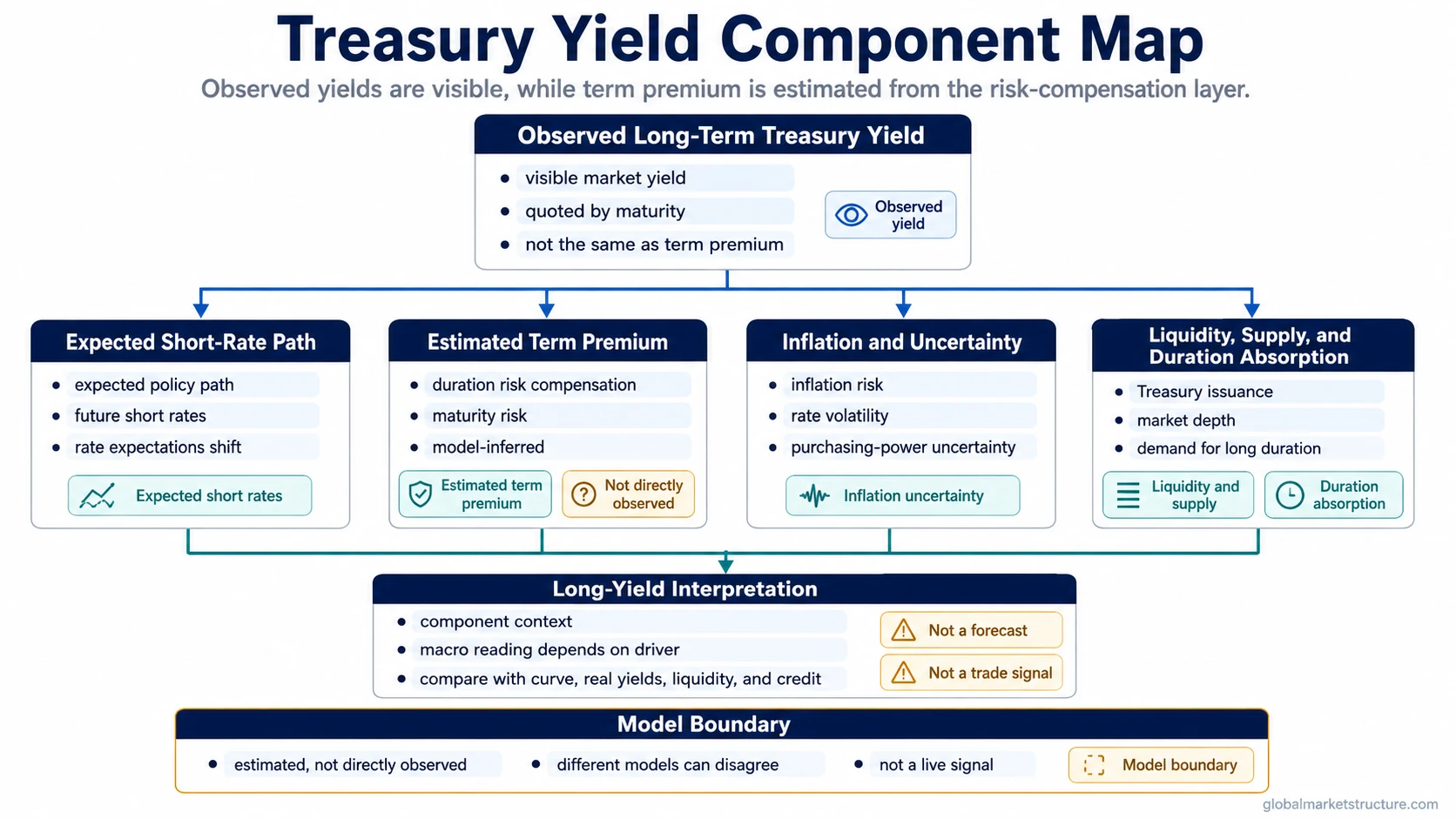 Treasury term premium component map showing observed long-term Treasury yield, expected short rates, estimated term premium, inflation uncertainty, liquidity, supply, and model limitation.